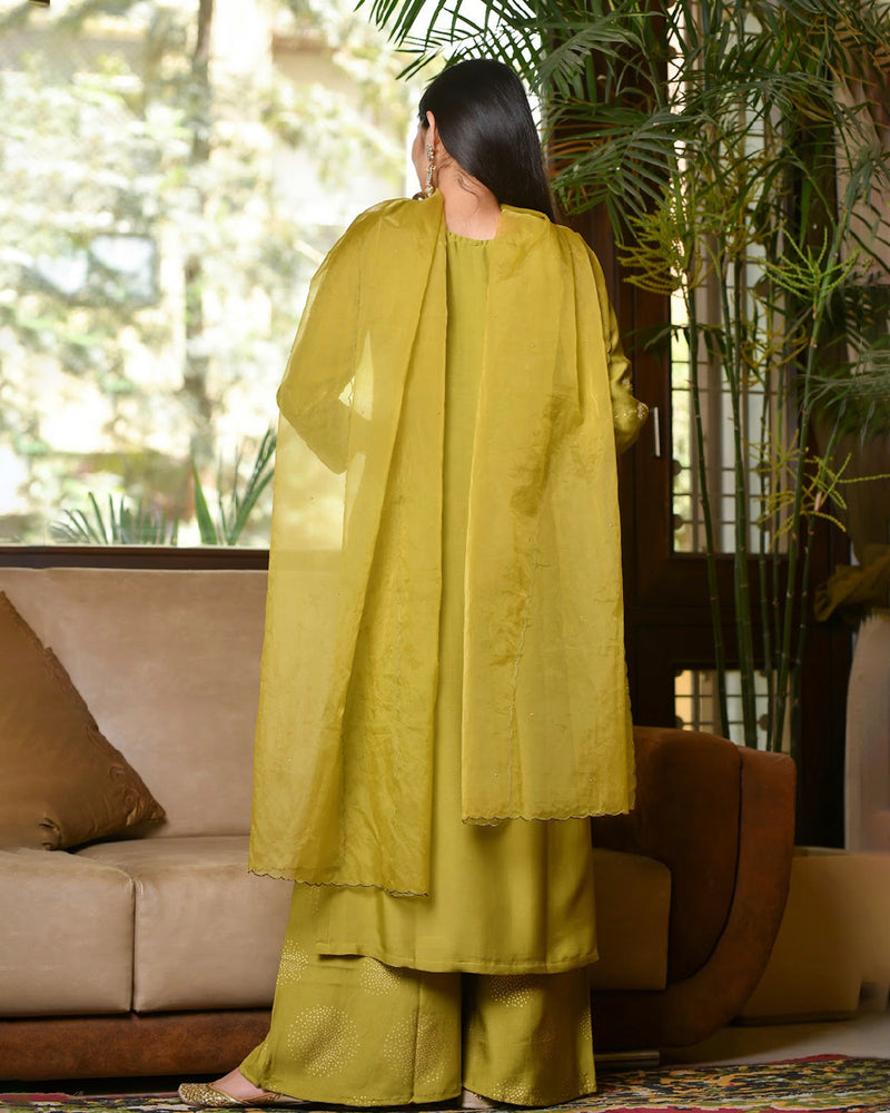 OLIVE SHARARA SET WITH ORGANZA DUPATTA