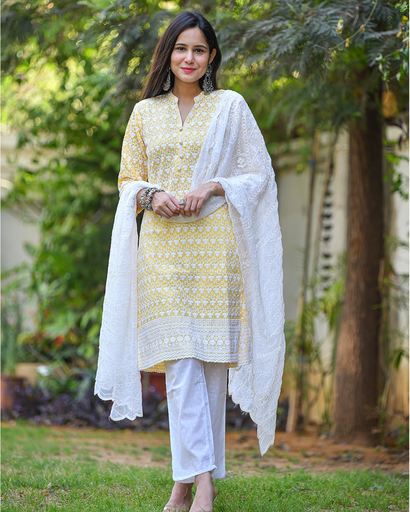 cotton chikankari dress House Of Kari(Chikankari Clothing)